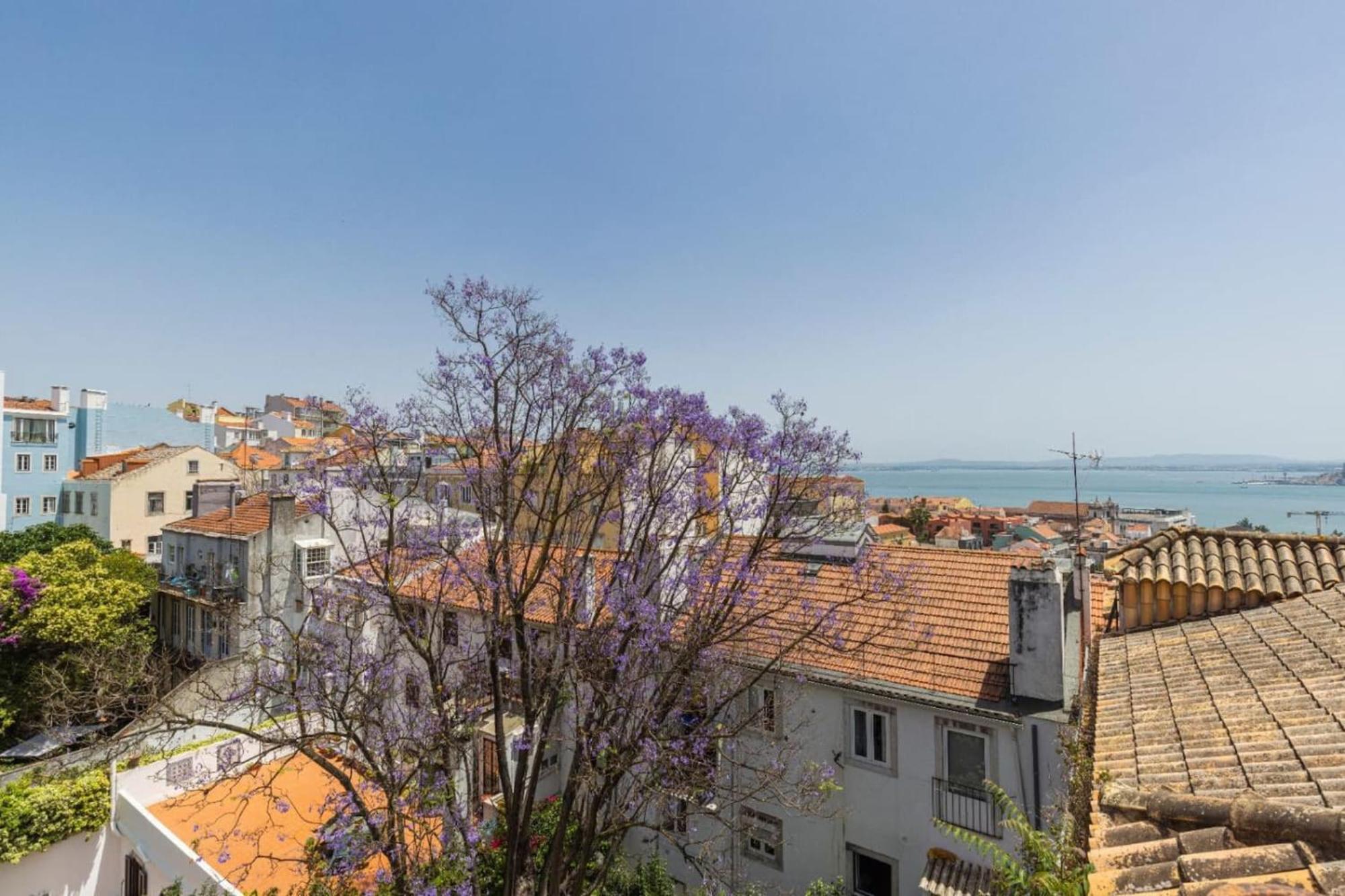 Joao Da Mata Amazing Views By Innkeeper Lisboa Ngoại thất bức ảnh